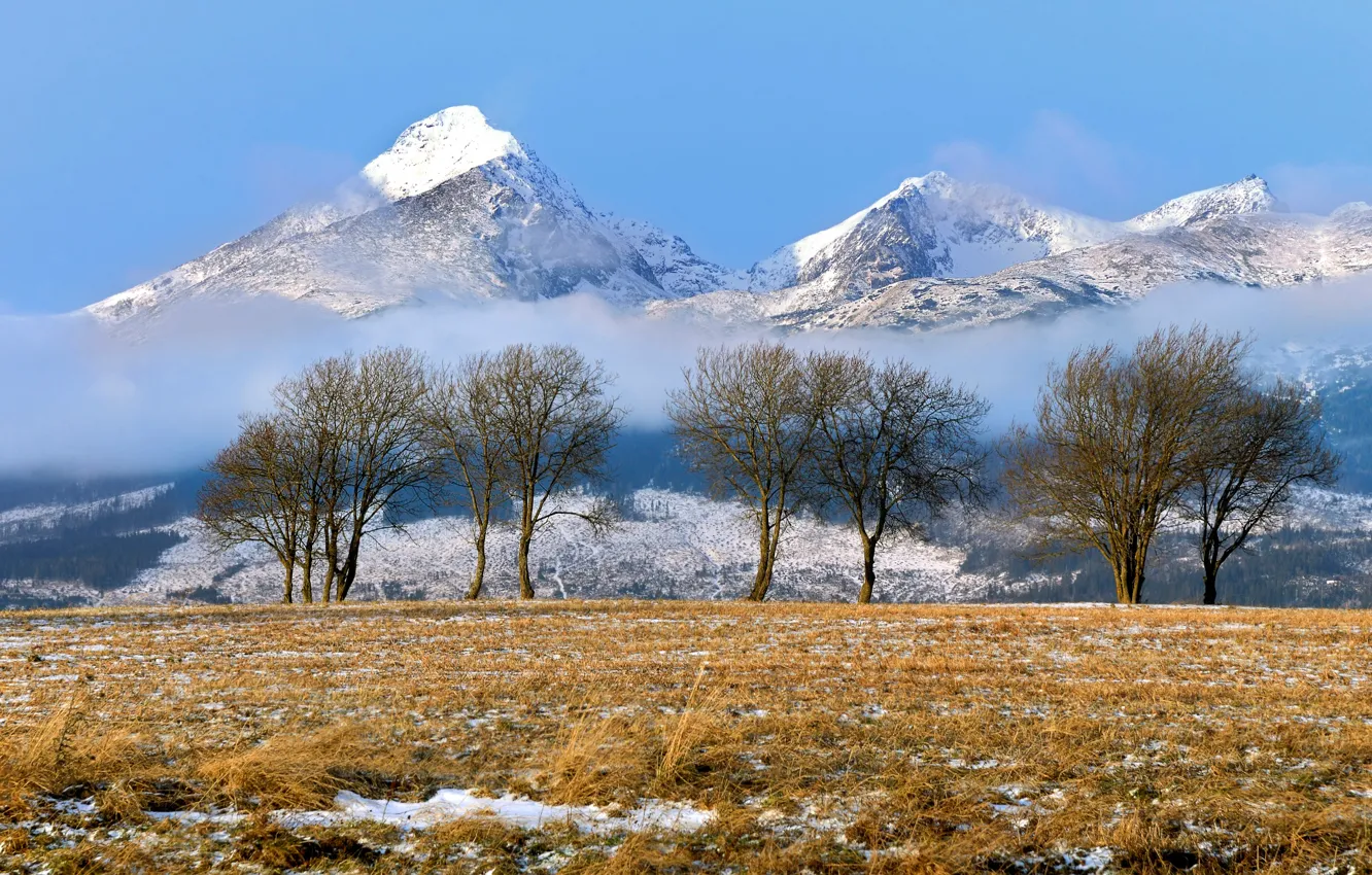 Photo wallpaper winter, mountains, Slovakia, Tatras