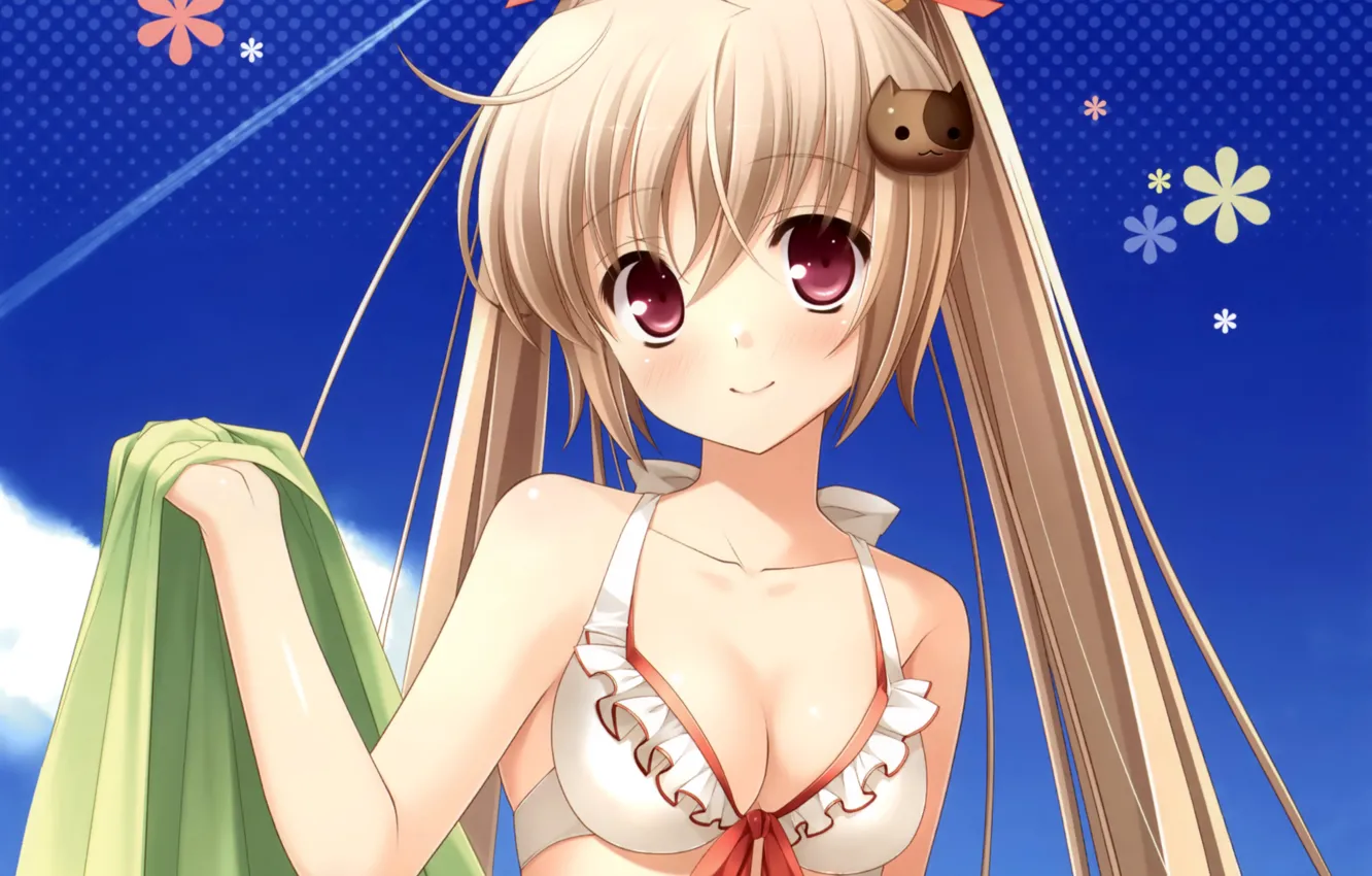 Photo wallpaper girl, sexy, cleavage, long hair, brown eyes, boobs, anime, beautiful