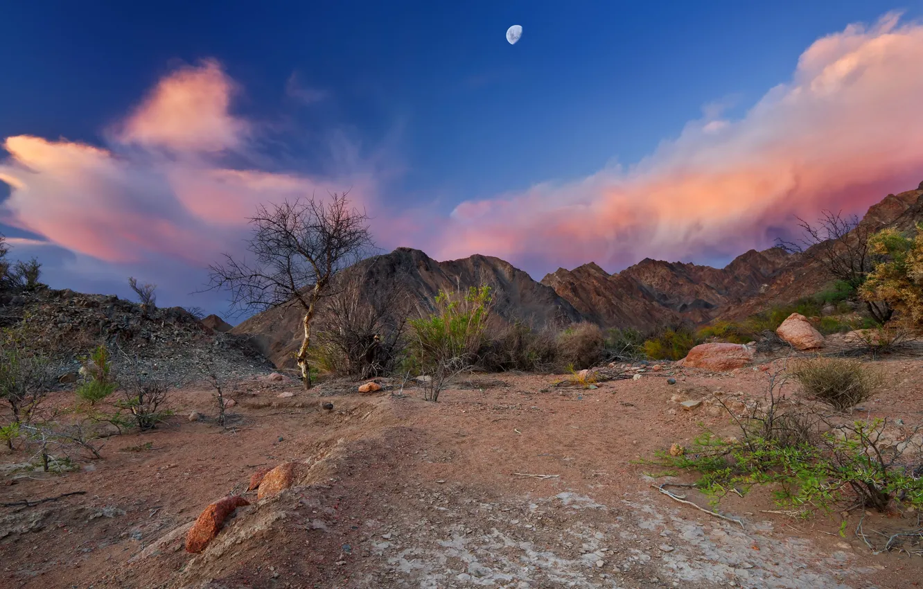 Photo wallpaper the sky, mountains, the moon, desert, Argentina, Chaco, angel main.photo, Near Fiambala