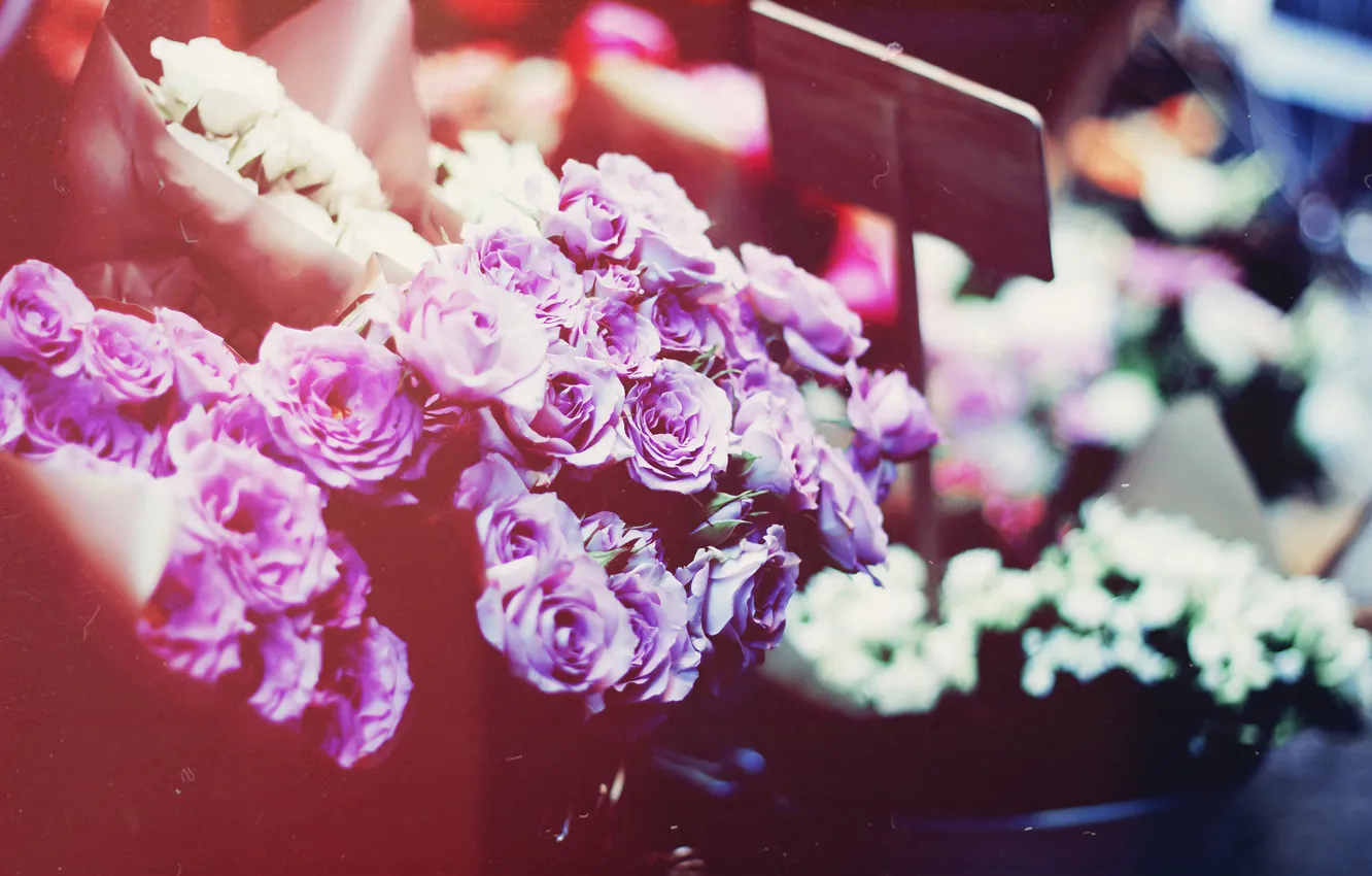 Photo wallpaper flowers, bouquet, petals, lilac
