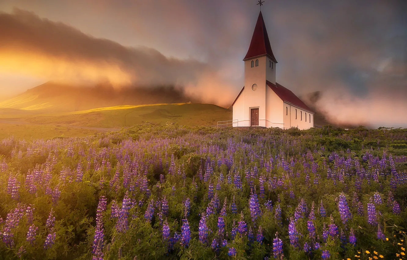 Photo wallpaper field, flowers, fog, village, Church, Iceland, lupins, Vic