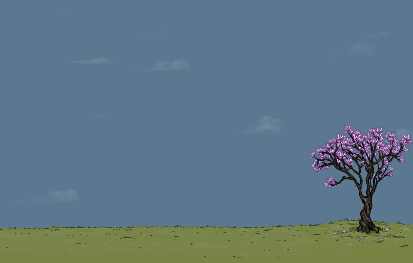 Photo wallpaper summer, the sky, trees