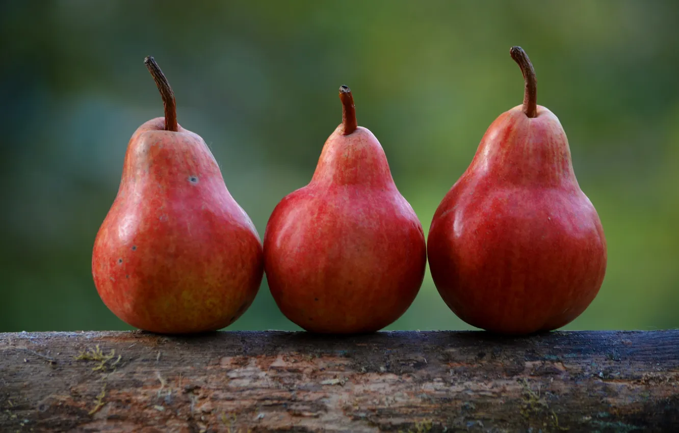 Photo wallpaper background, Wallpaper, fruit, pear