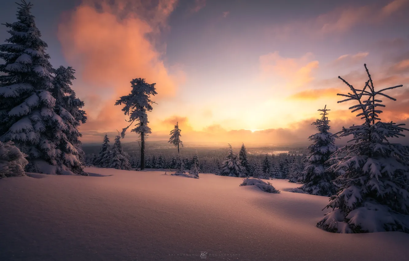 Photo wallpaper winter, snow, trees, sunset, Germany, ate, the snow, Germany