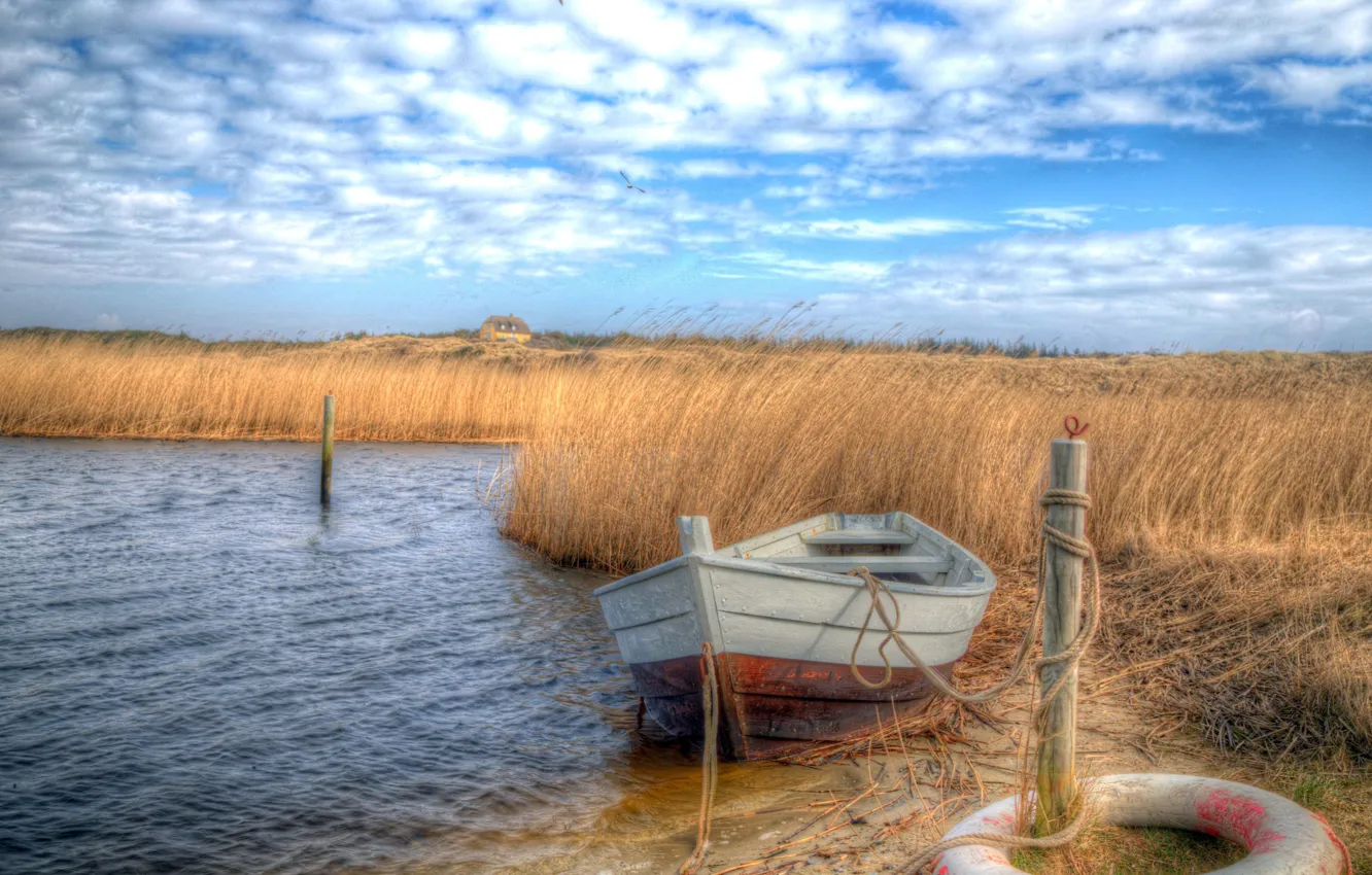 Photo wallpaper lake, boat, reed
