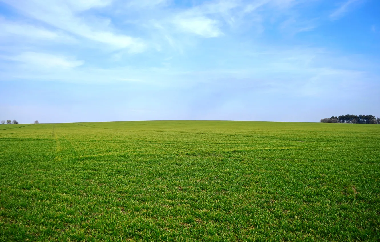 Photo wallpaper greens, field, the sky, grass, horizon