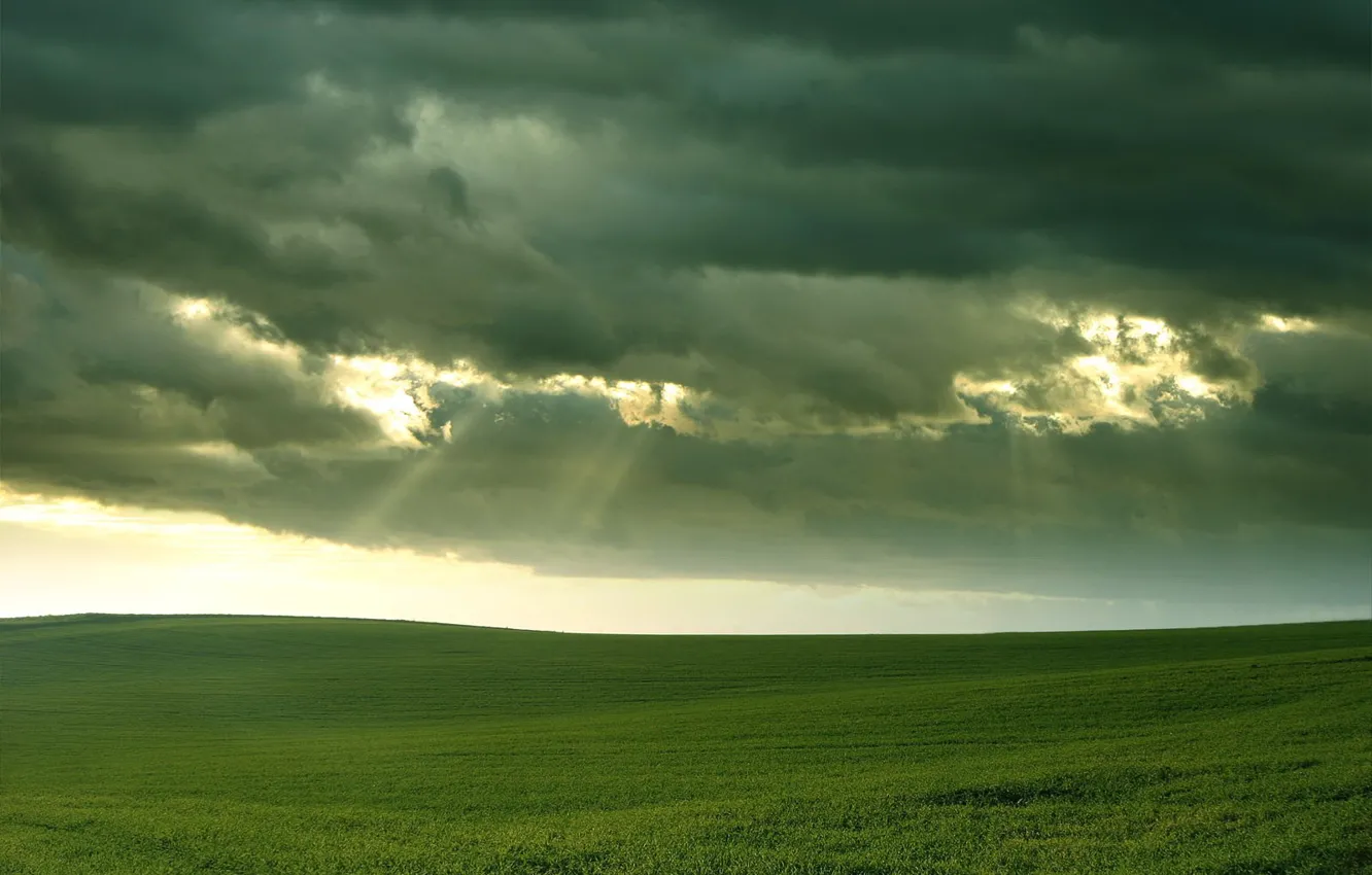 Photo wallpaper field, grass, clouds, light