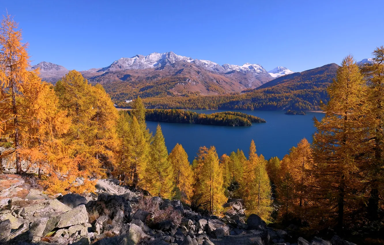 Photo wallpaper autumn, trees, mountains, lake, Switzerland, Alps, Switzerland, Engadin