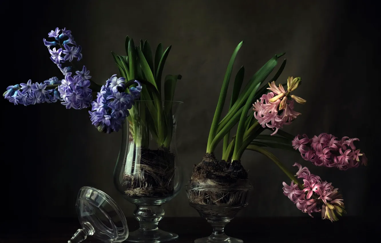 Photo wallpaper glass, flowers, the dark background, glass, bouquet, spring, pink, still life