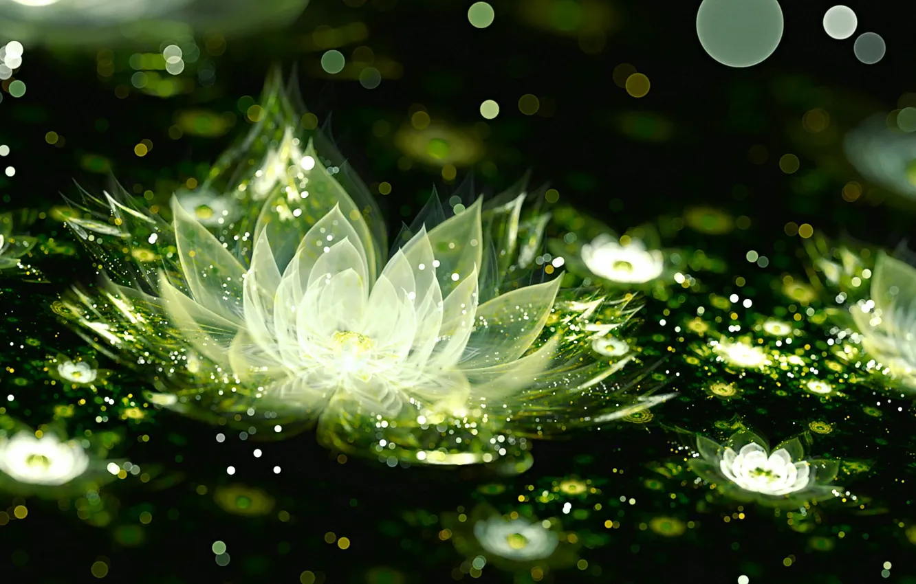 Photo wallpaper light, flowers, graphics, Lily, bokeh