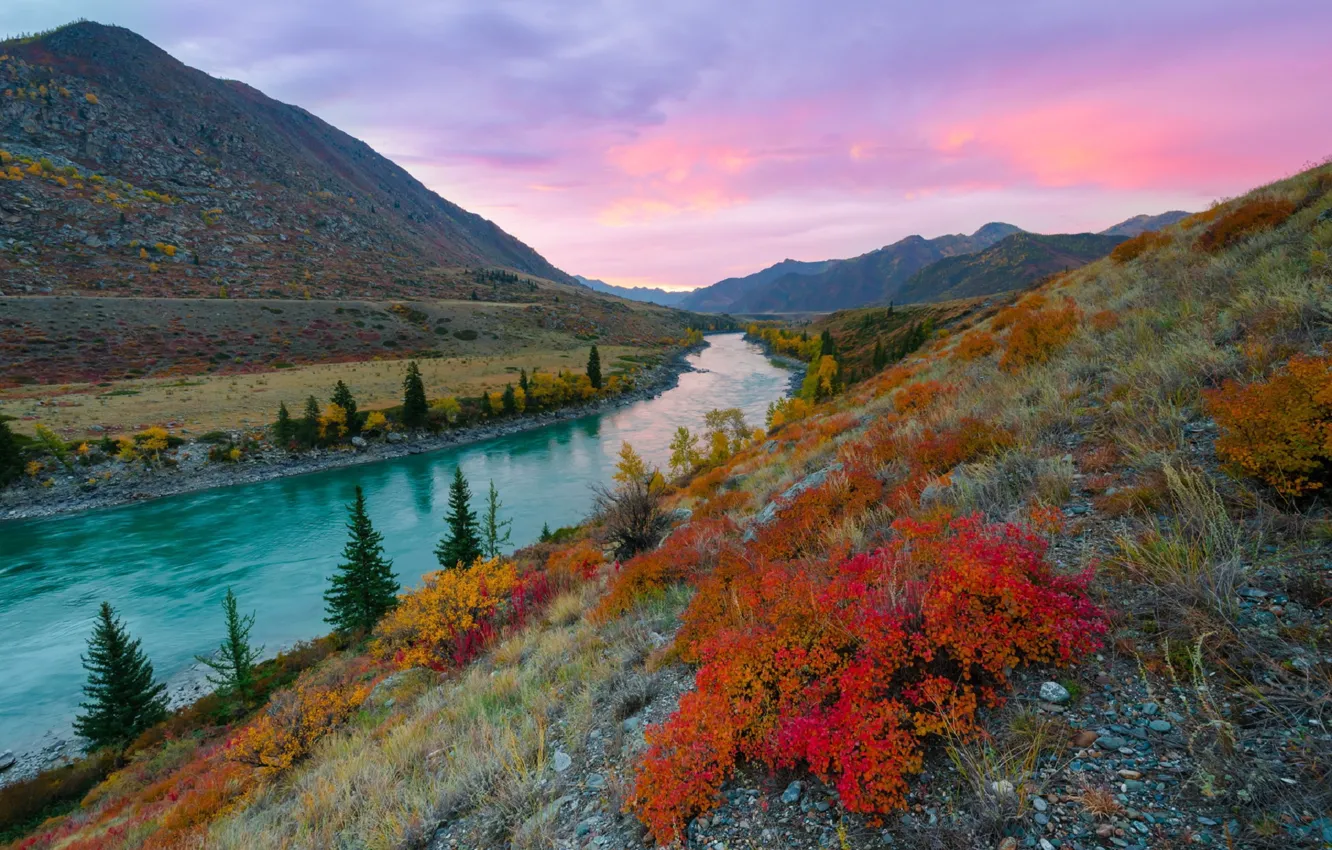 Photo wallpaper autumn, the sky, trees, sunset, mountains, nature, river, Altay
