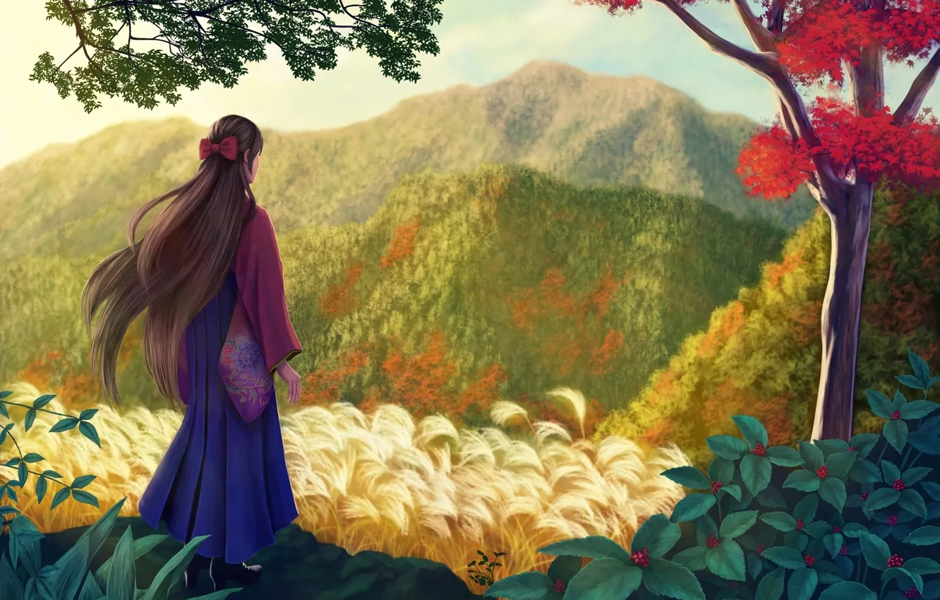 Photo wallpaper girl, nature, art, erhu