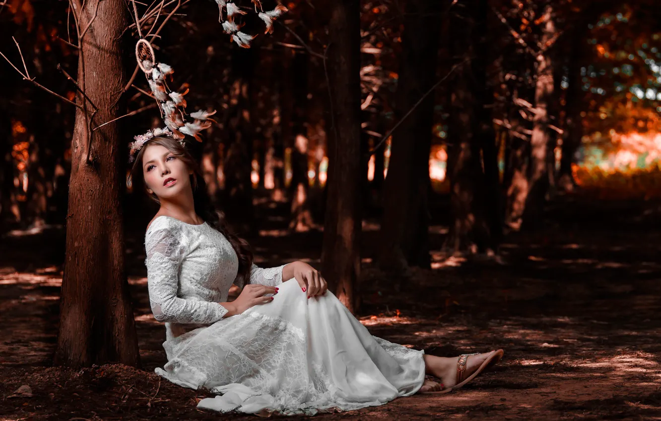 Photo wallpaper forest, girl, dress, the bride