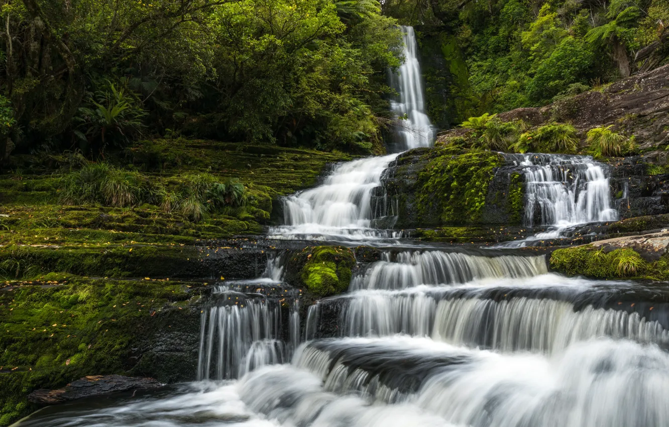 Photo wallpaper forest, waterfall, moss, New Zealand, cascade, New Zealand, Tautuku River, The McLean Falls