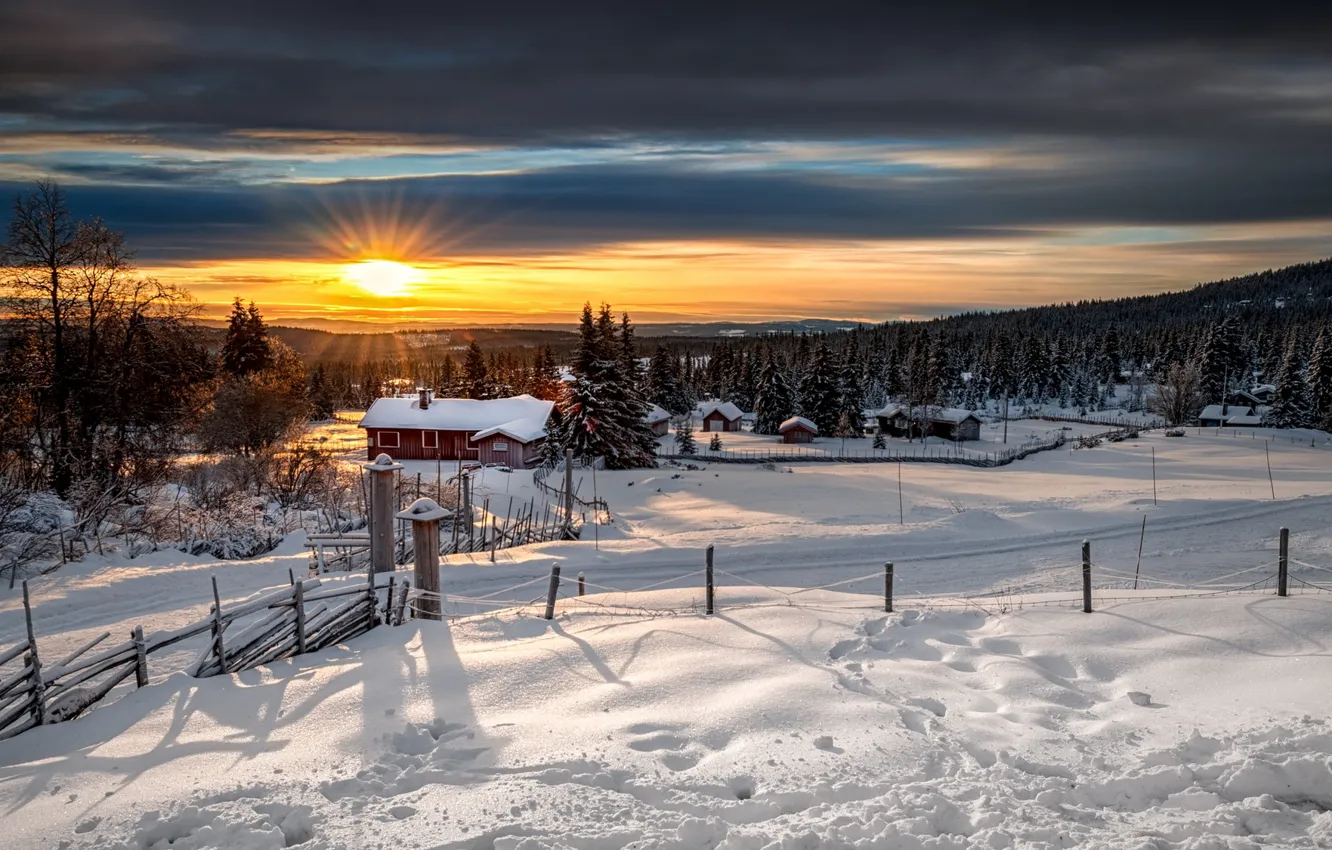 Photo wallpaper winter, forest, Norway, Lillehammer, Lillehammer