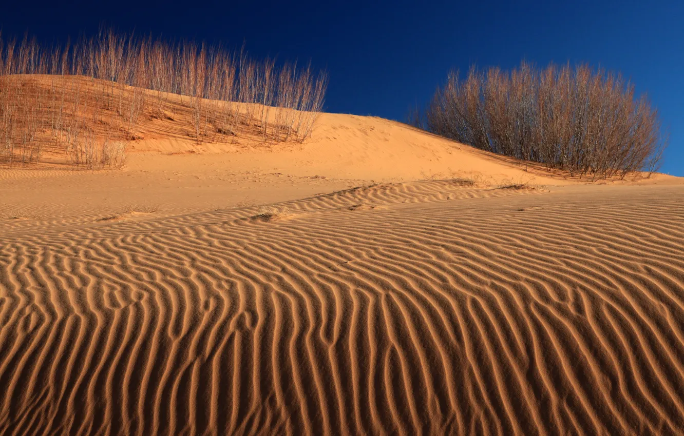 Photo wallpaper sand, landscape, desert, dunes