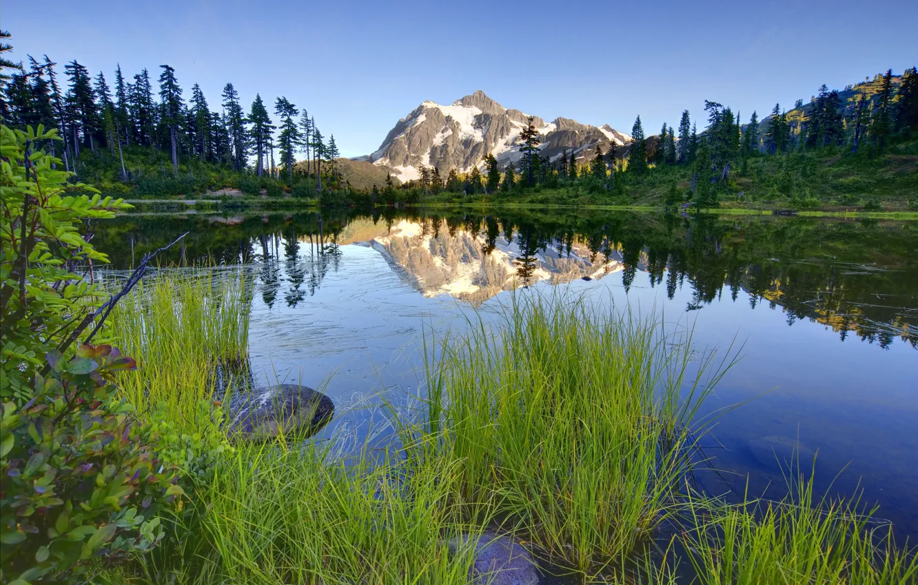 Photo wallpaper forest, the sky, grass, snow, trees, mountains, lake, stone