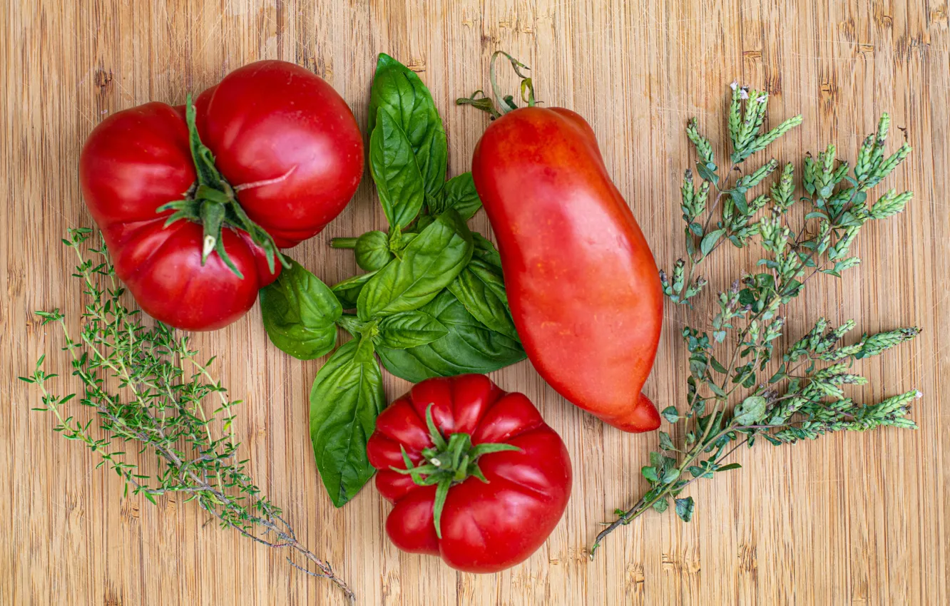 Photo wallpaper tomatoes, tomatoes, Basil