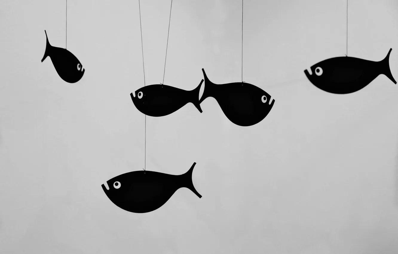 Photo wallpaper eyes, fish, fish, figure, black