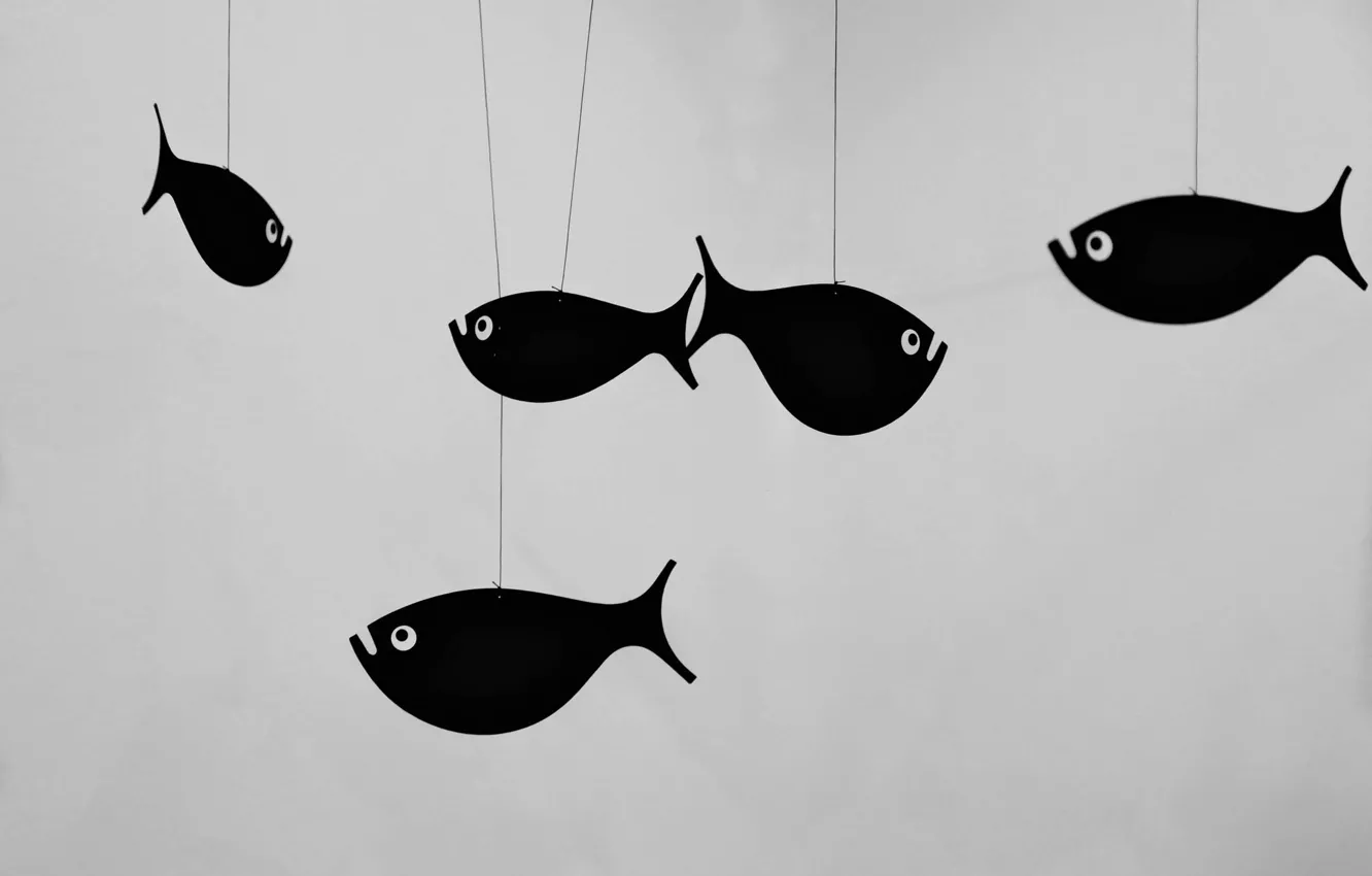 Photo wallpaper eyes, fish, black, fish, figure