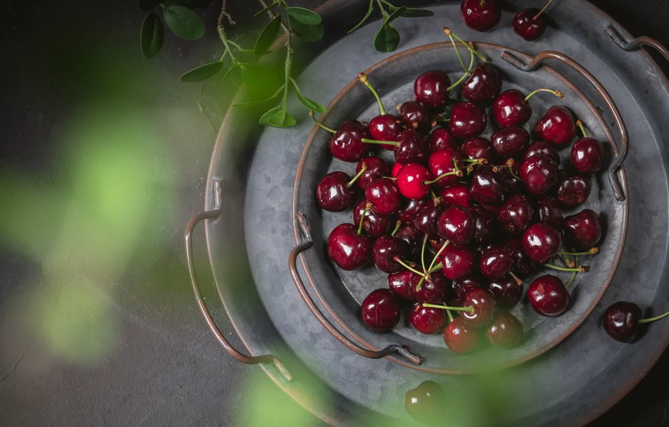 Photo wallpaper leaves, red, cherry, berries, sprig, dishes, pan, grey background