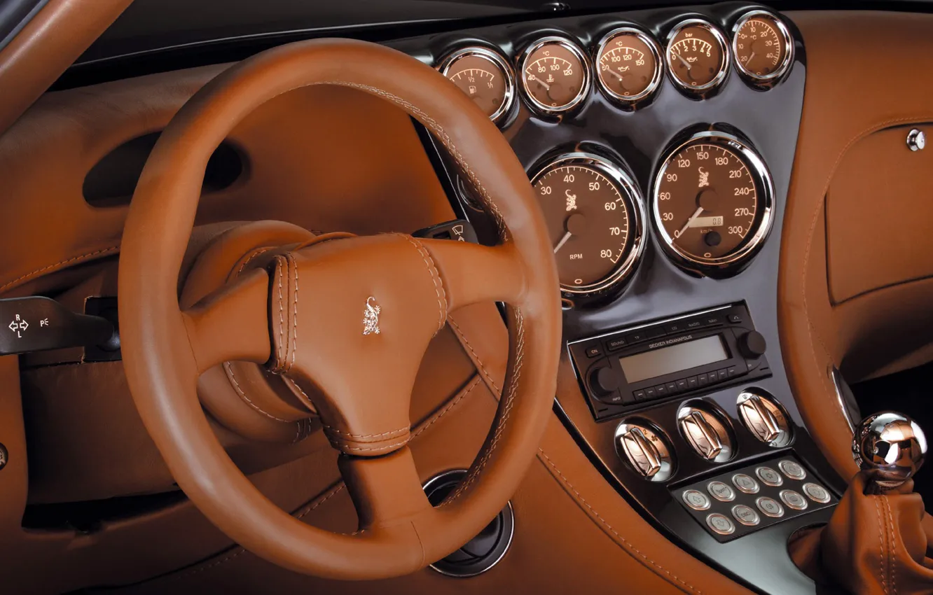Photo wallpaper the wheel, Wiesmann, salon