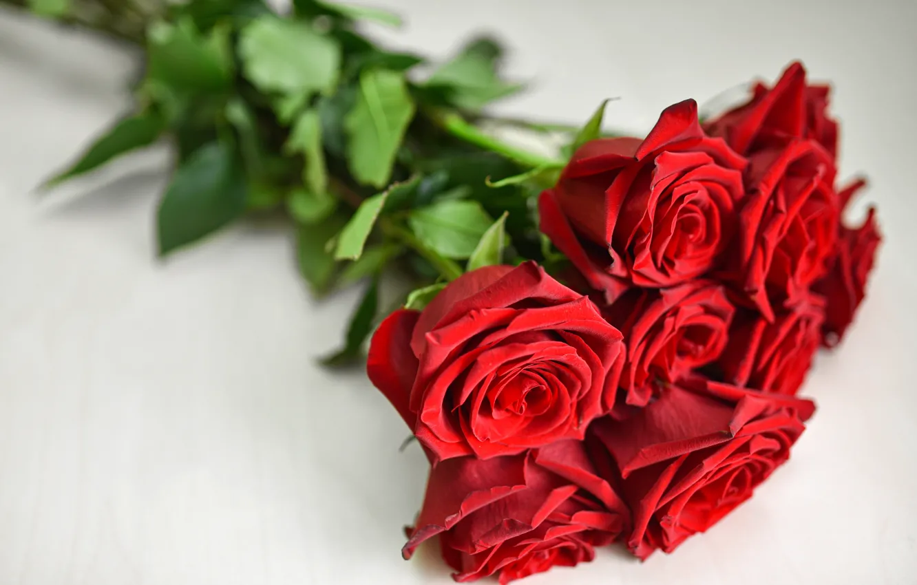 Photo wallpaper flowers, red, roses, bouquet