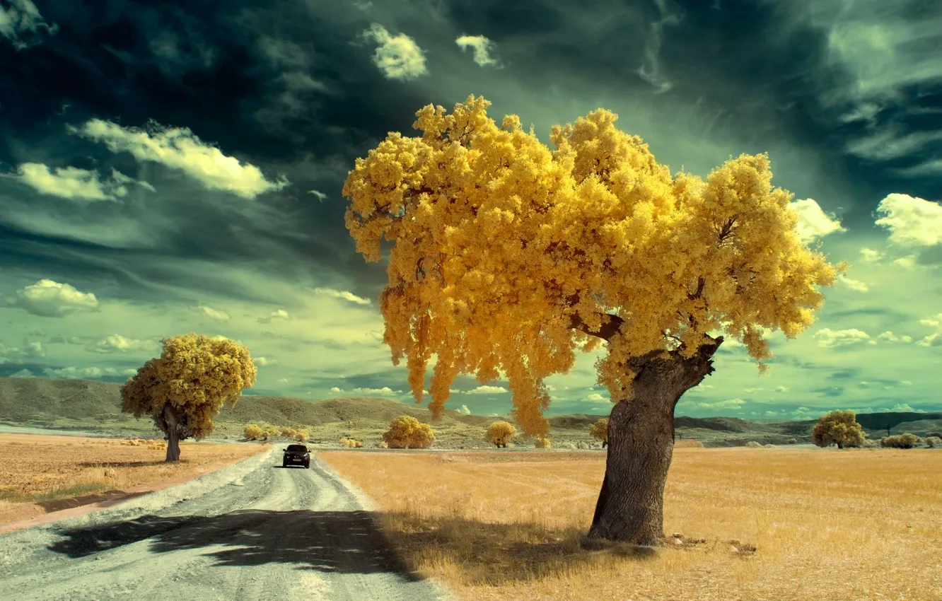 Photo wallpaper Spain, sky, yellow, tree, Canon, Spain, infrared, journey