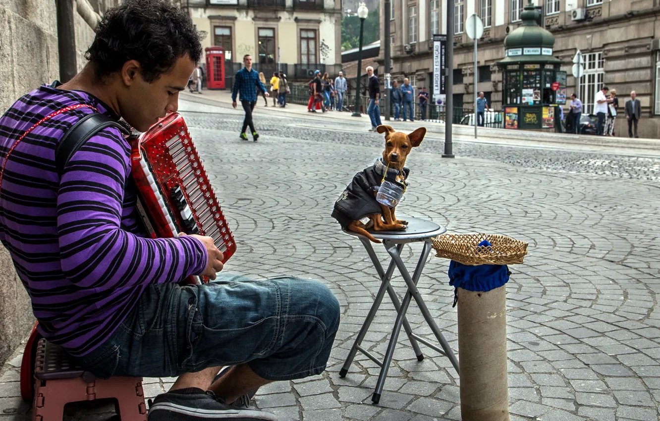 Photo wallpaper music, street, people, dog