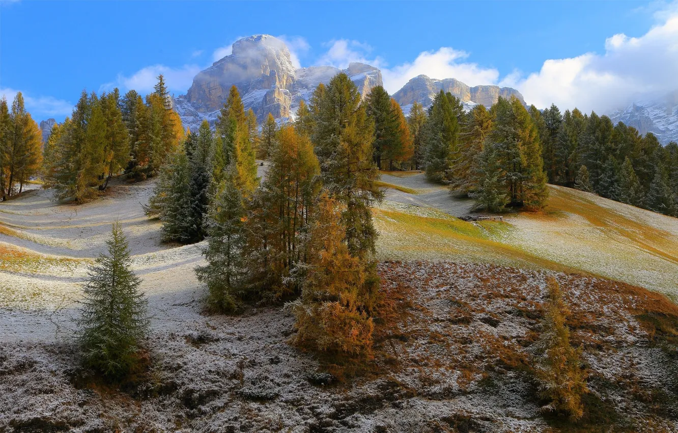 Photo wallpaper The sky, Mountains, Trees