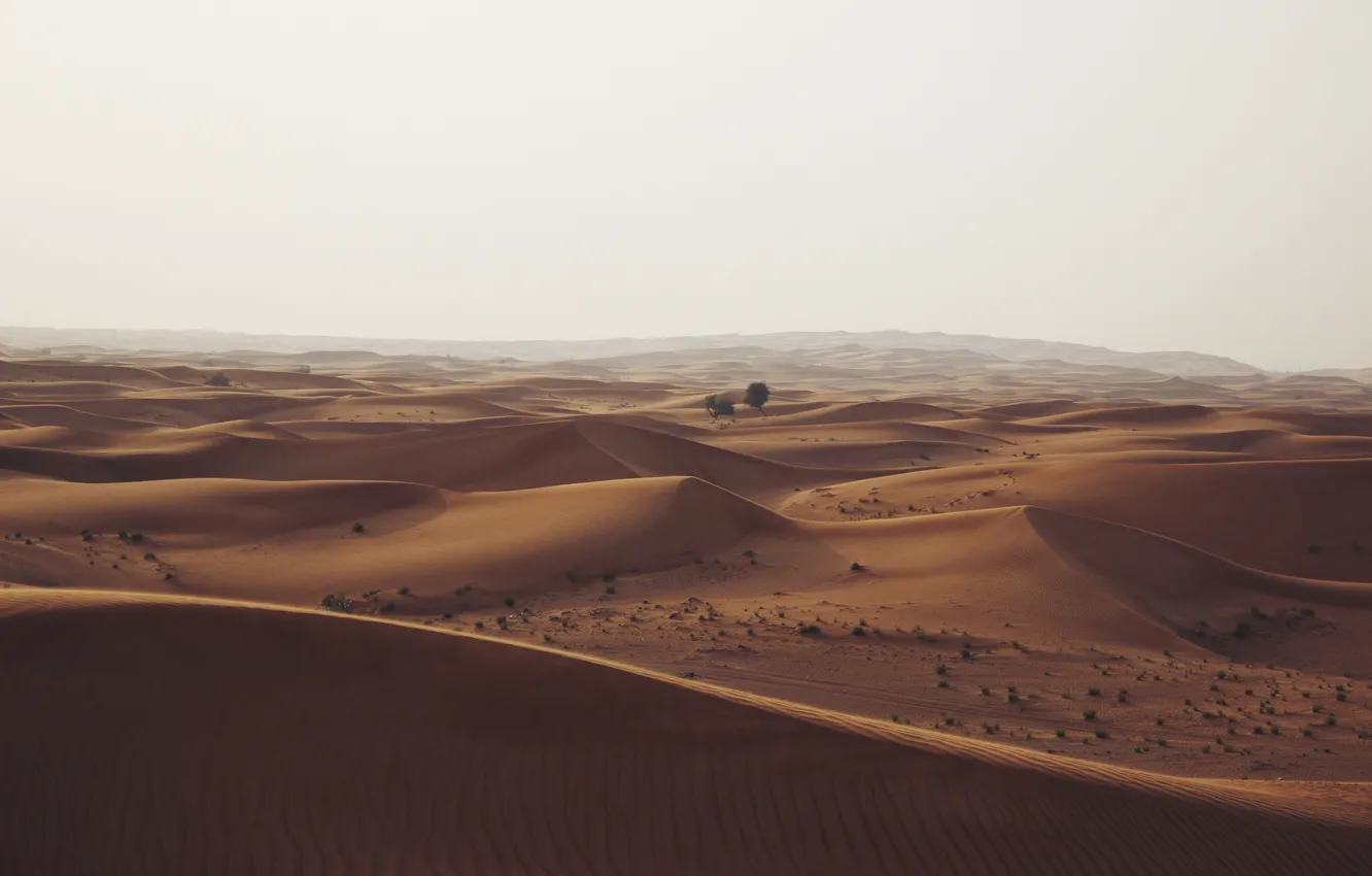 Photo wallpaper desert, trees, nature, hills, sand