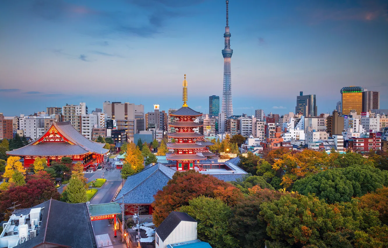 Photo wallpaper autumn, tower, home, Japan, Tokyo, panorama