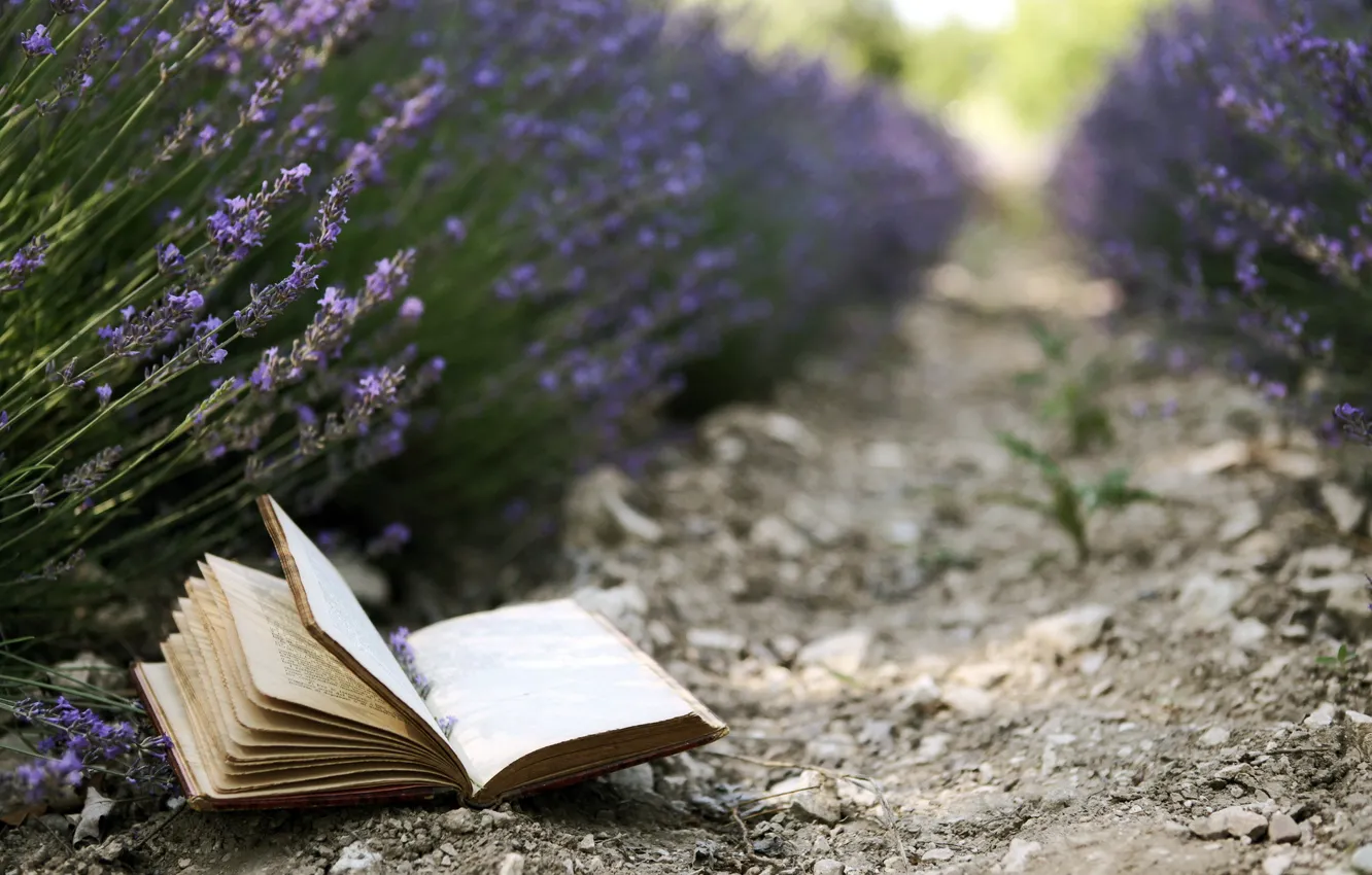 Photo wallpaper flowers, background, book, lavender