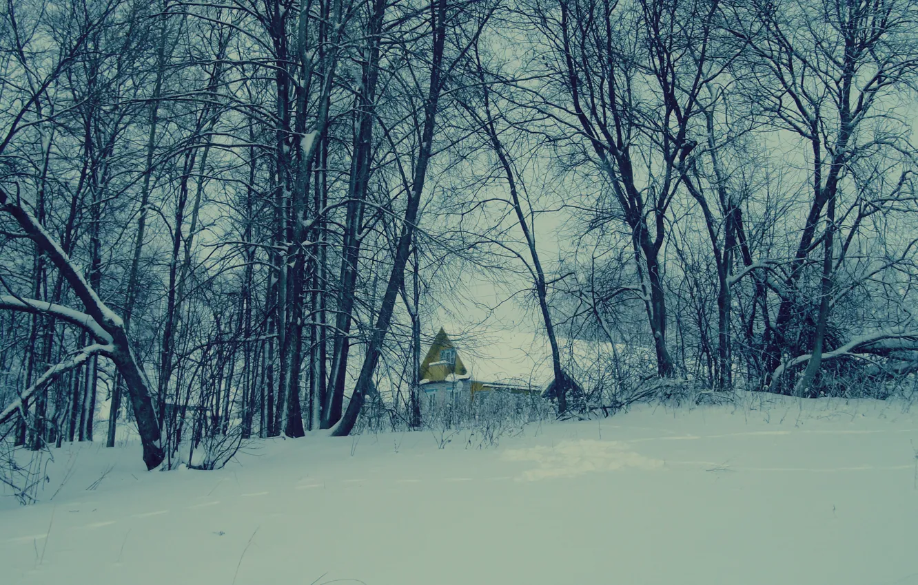 Photo wallpaper snow, trees, nature, house