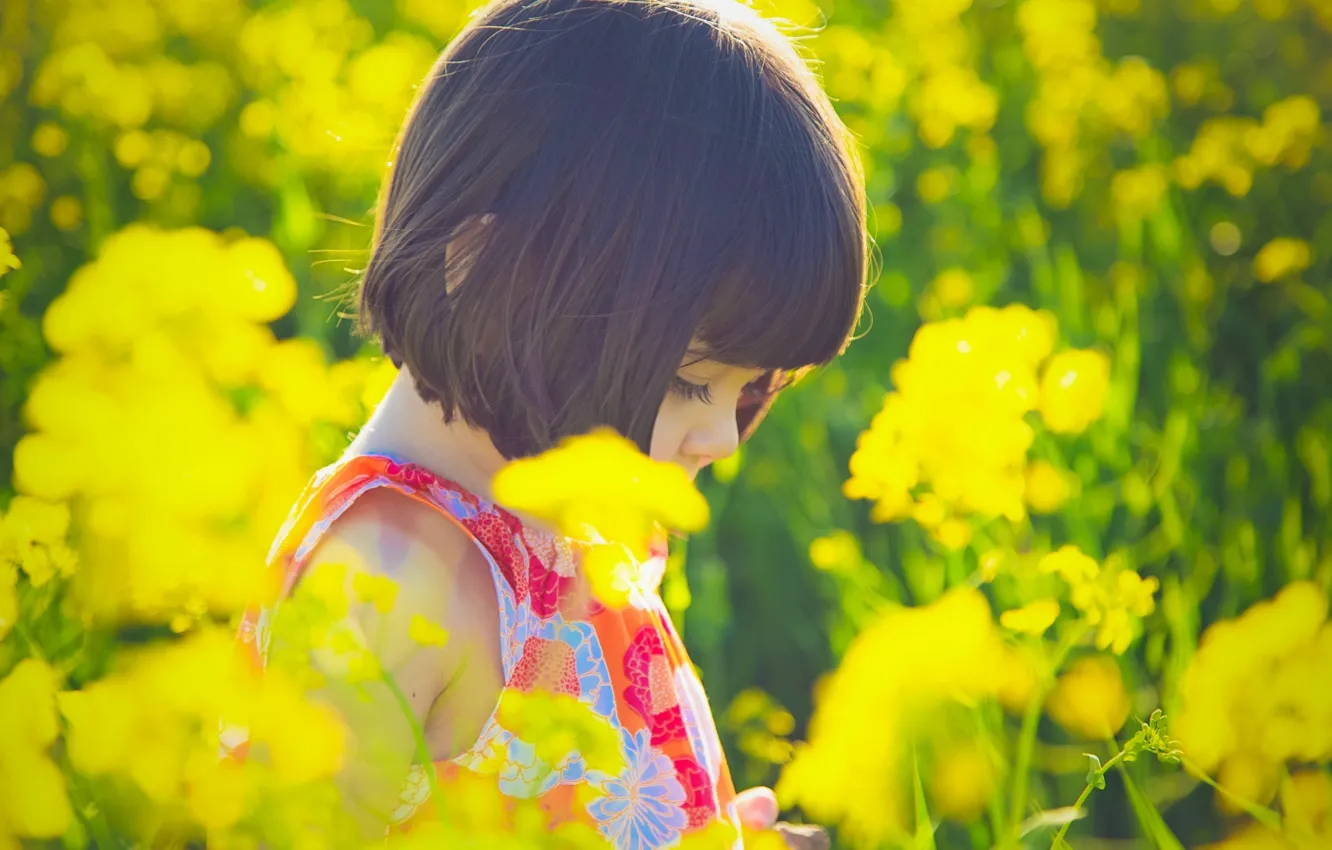 Photo wallpaper the sun, flowers, yellow, nature, children, background, situation, Wallpaper