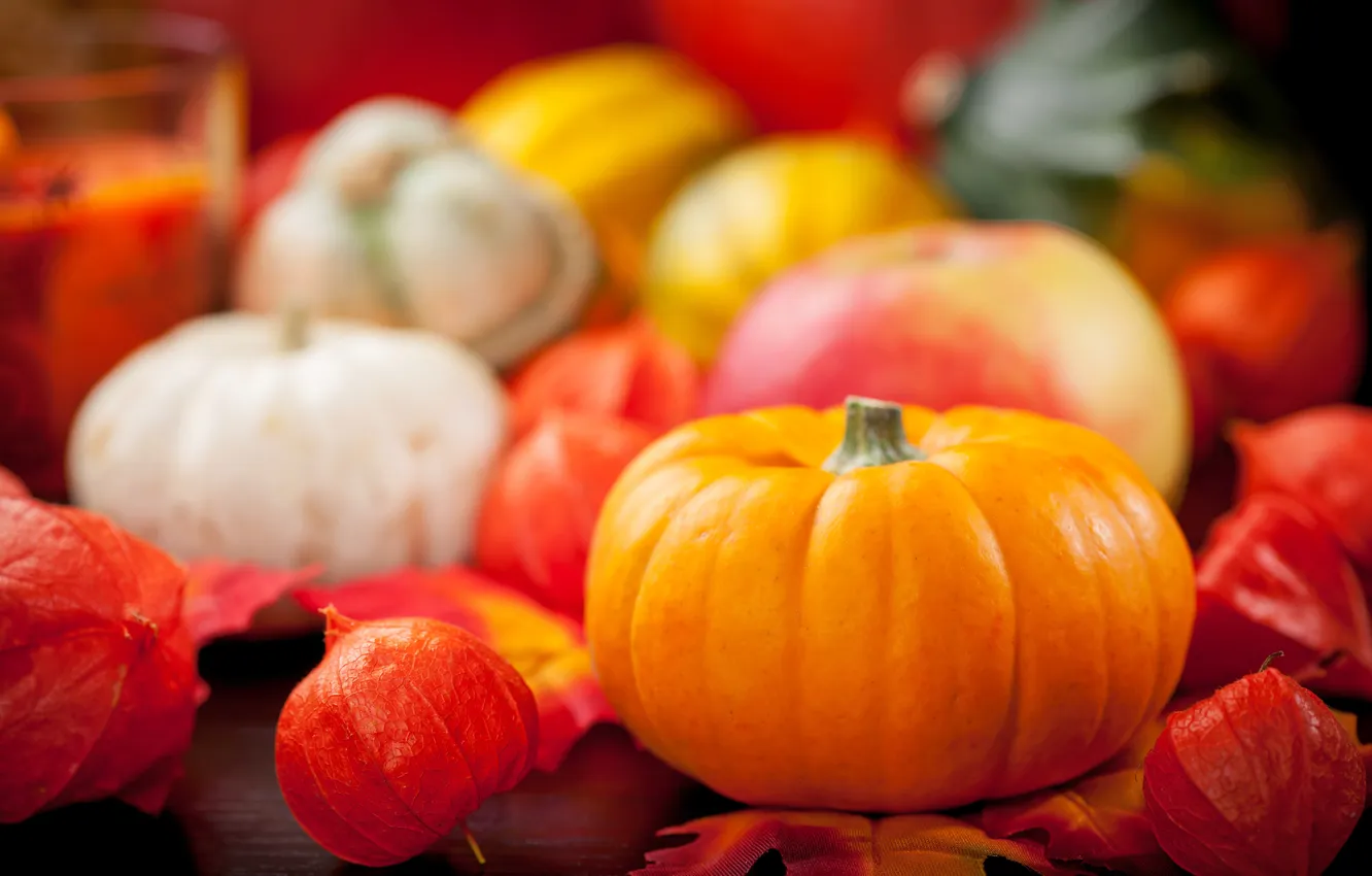 Photo wallpaper autumn, harvest, pumpkin, still life, vegetables, autumn, still life, pumpkin