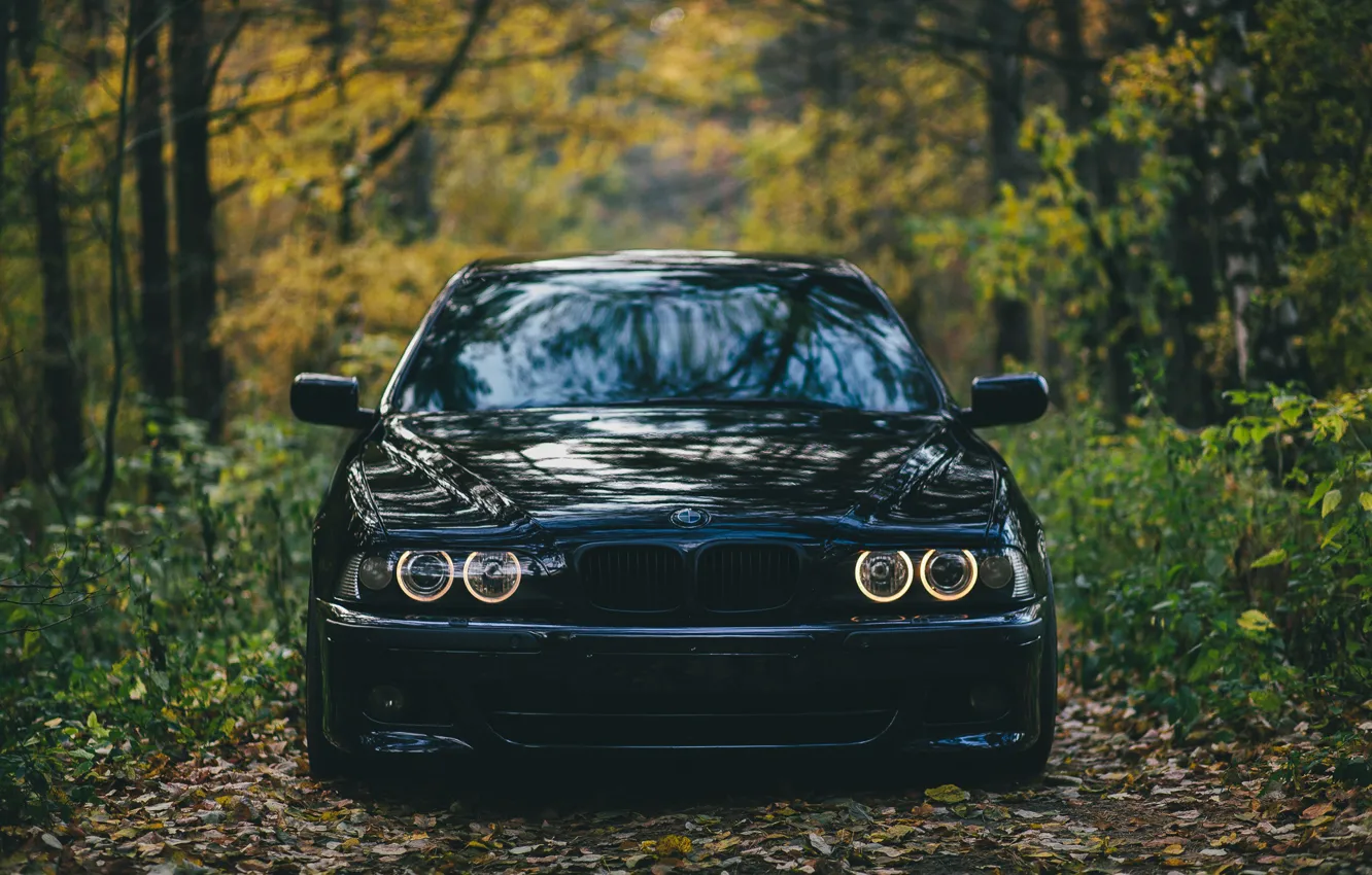 Photo wallpaper machine, autumn, forest, BMW, BMW, car, E39, M5