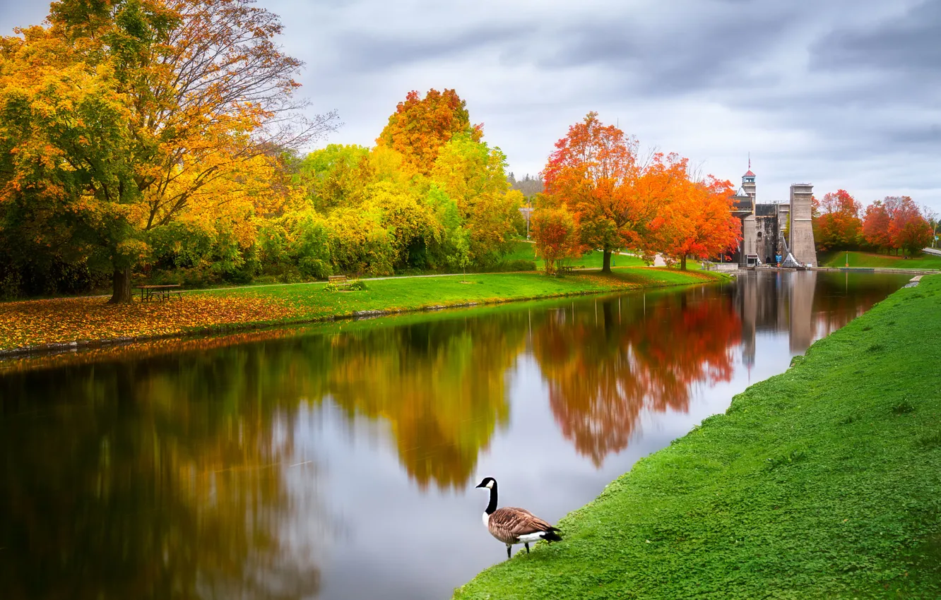 Photo wallpaper autumn, the sky, grass, clouds, trees, the city, lake, Park