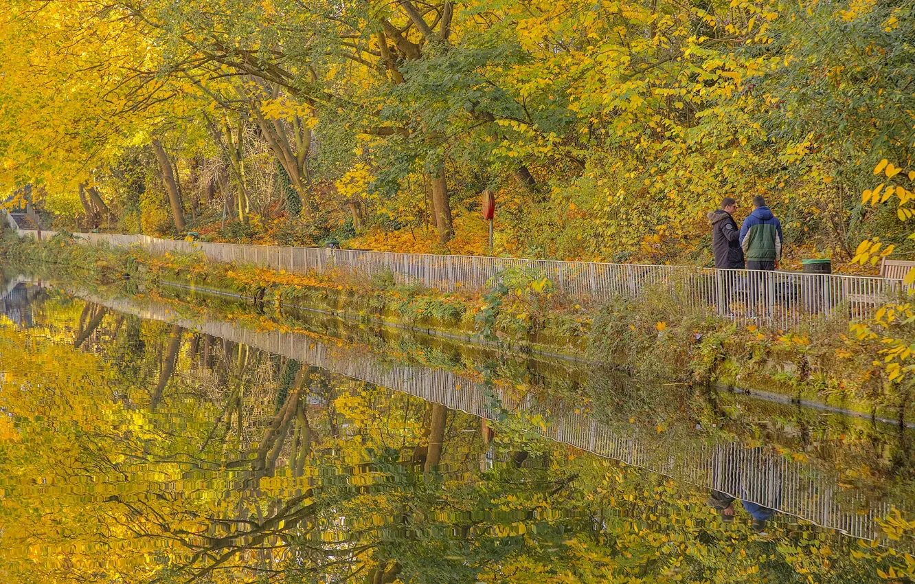 Photo wallpaper autumn, Park, London, garden