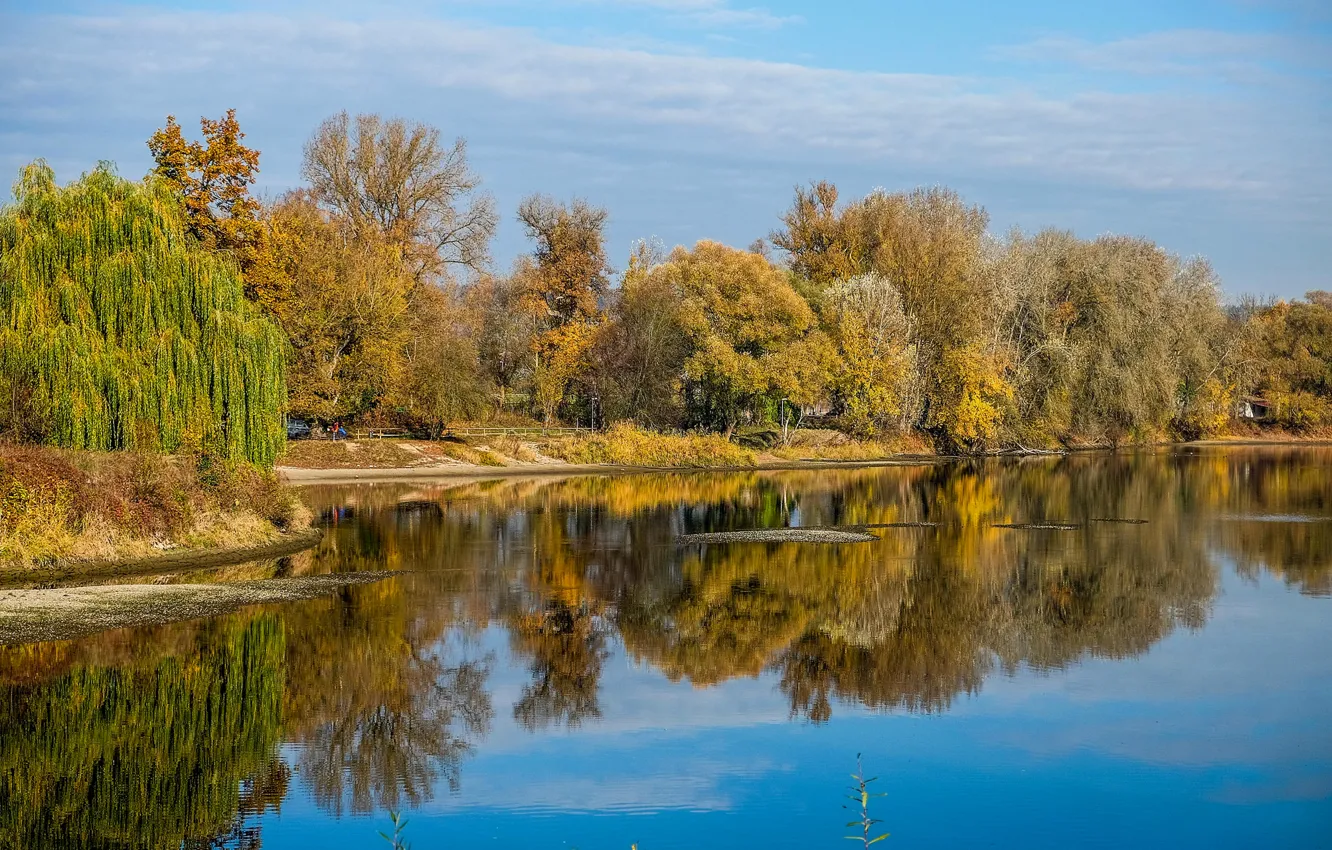 Photo wallpaper autumn, trees, lake, pond, Park