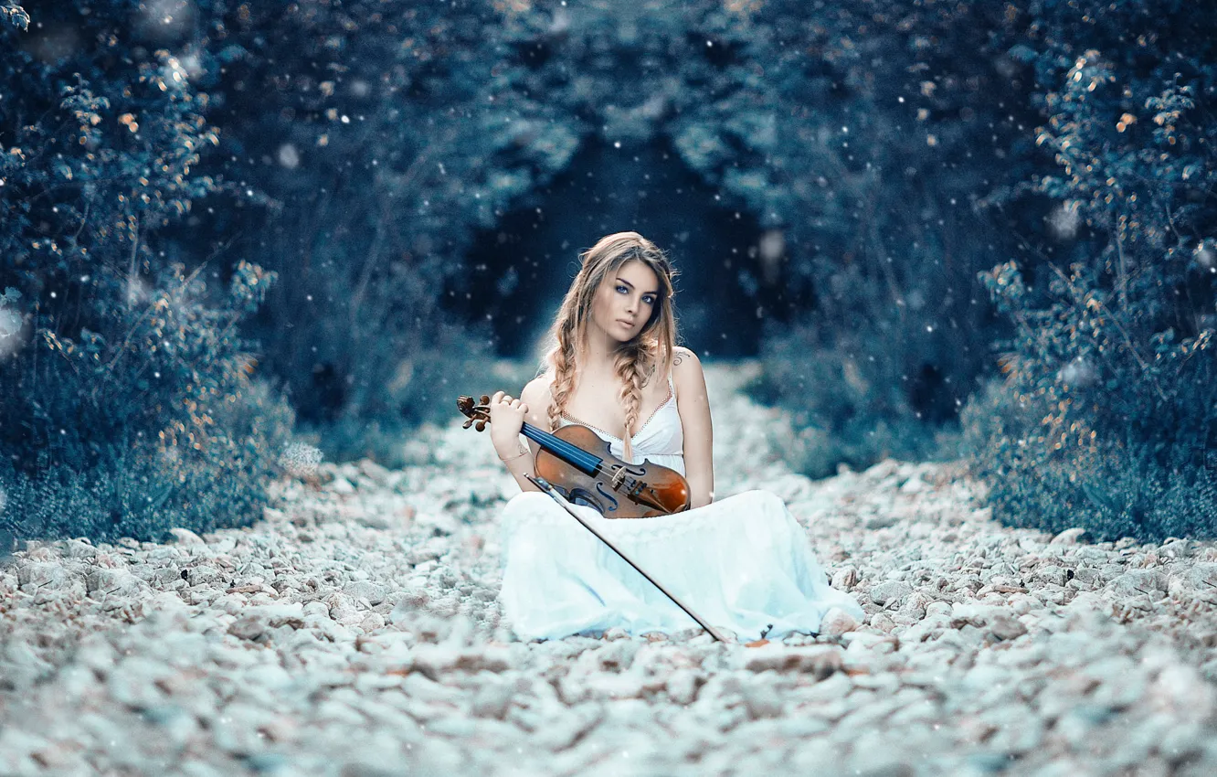 Photo wallpaper girl, violin, Alessandro Di Cicco, Symphony of life