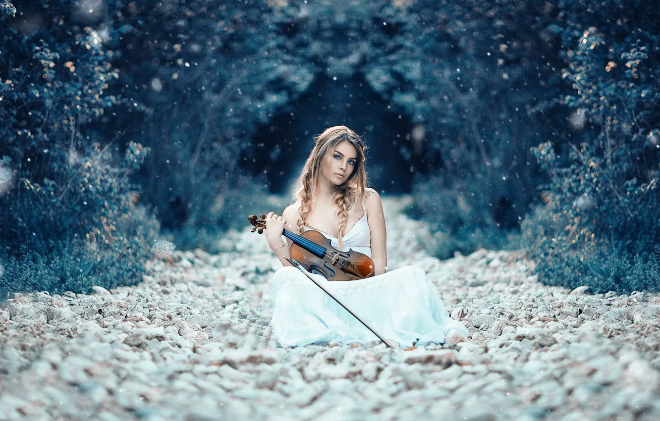 Photo wallpaper girl, violin, Alessandro Di Cicco, Symphony of Life