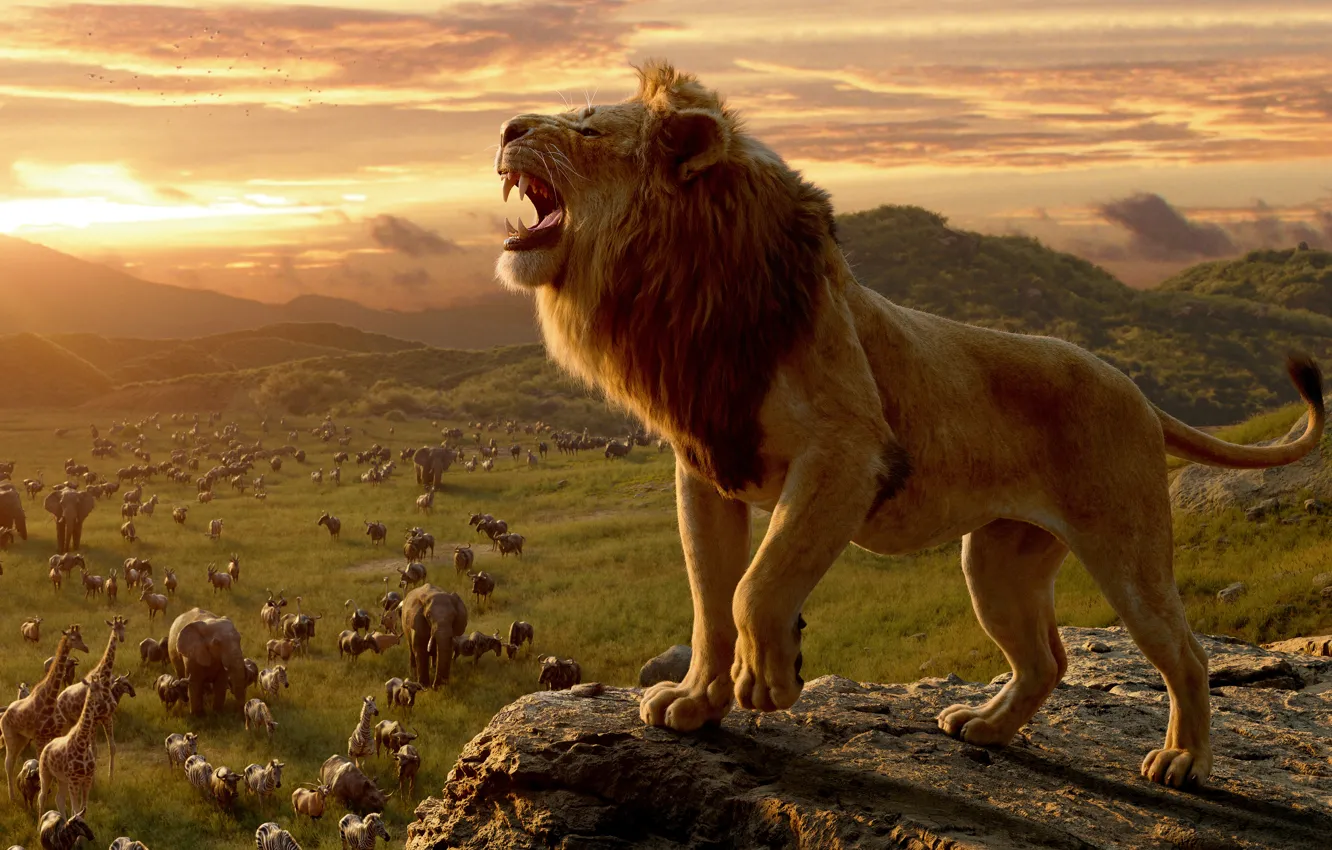 Photo wallpaper sunset, animal, the film, Leo, mane, growls, The Lion King, film