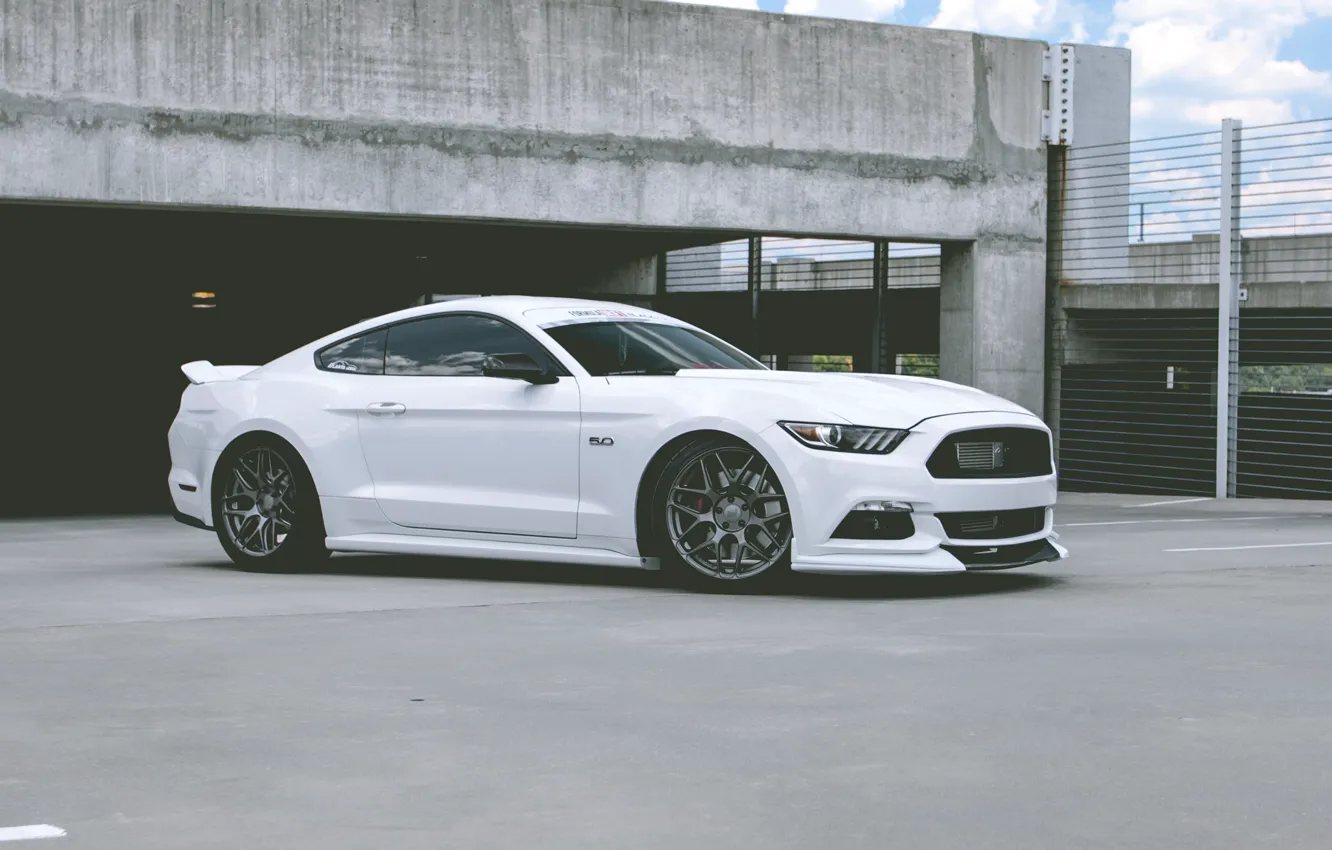 Photo wallpaper Mustang, Ford, White, New, 2015