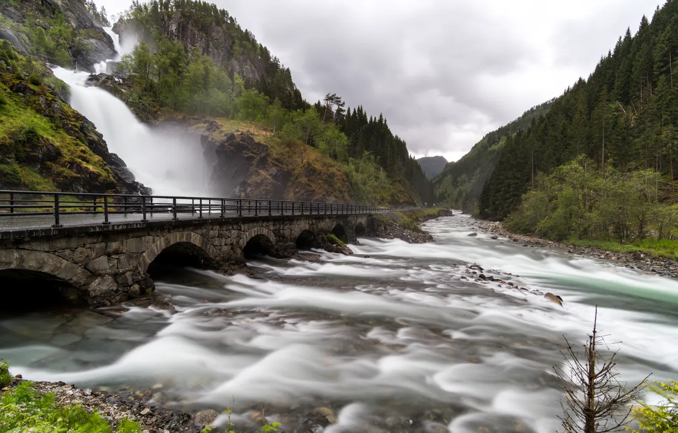 Photo wallpaper bridge, pond, aqueduct