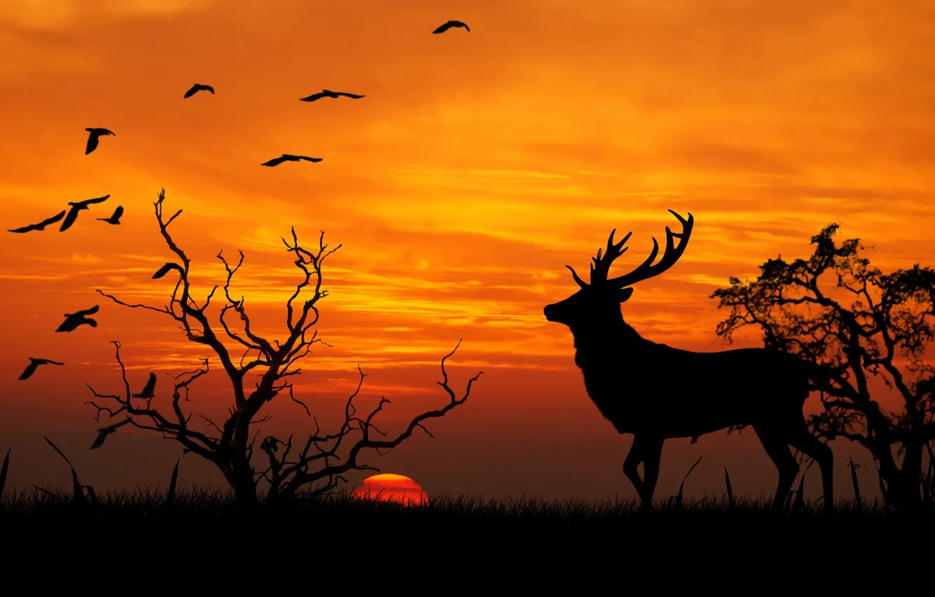 Photo wallpaper nature, vector, deer, silhouette, horns