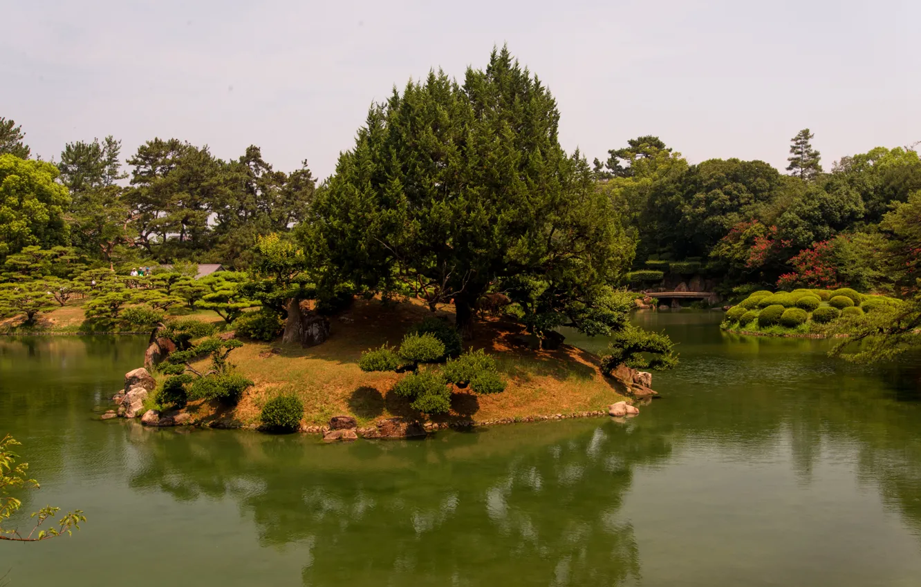 Photo wallpaper trees, landscape, nature, pond, Park, photo, Japan, Takamatsu