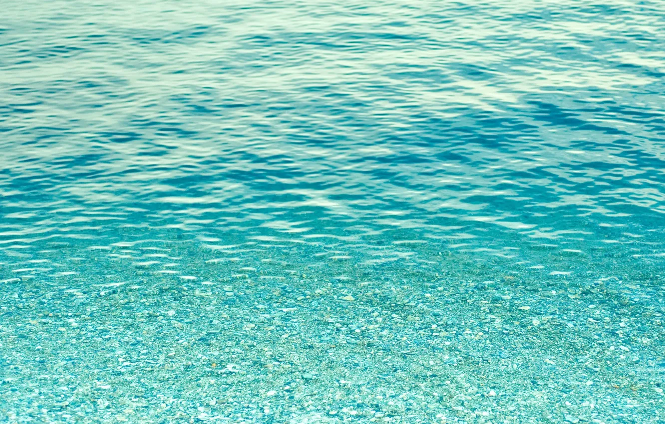 Photo wallpaper sea, water, transparency, the ocean, the bottom, texture, background desktop