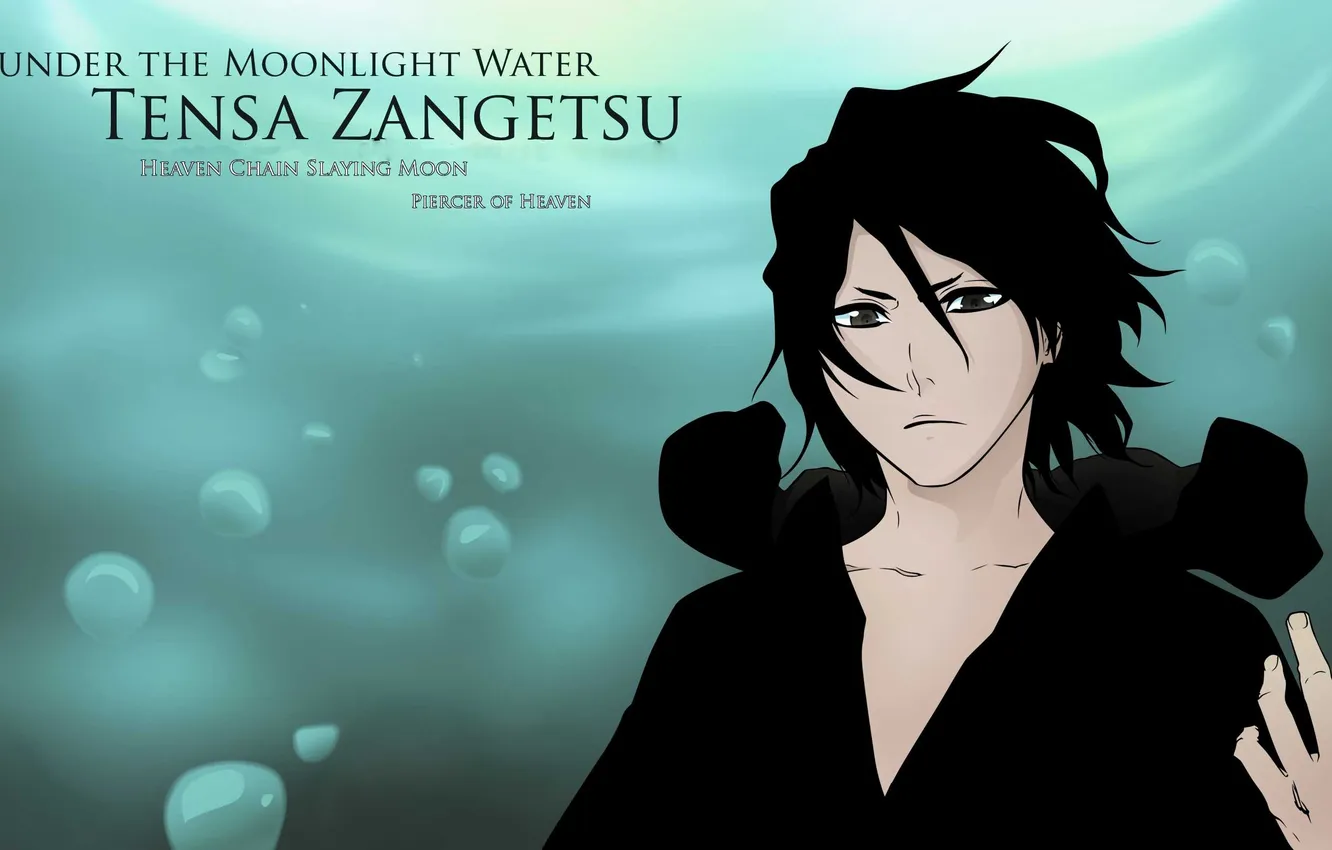 Photo wallpaper anime, Bleach, Bleach, art, tensa zangetsu