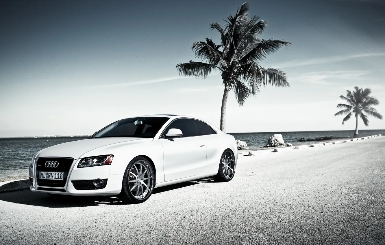 Photo wallpaper road, palm trees, Audi, Audi, coast, car